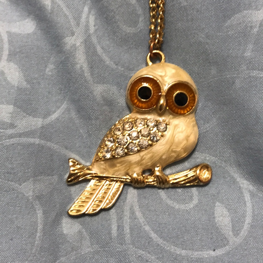 SOLD💣🎈Owl 🦉 charm necklace